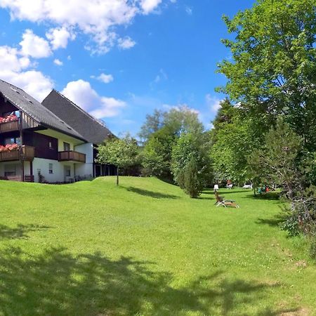 Naturidyll Am Fluss - Ferienhaus Albmatte - Grosser Garten Zum Grillen Und Entspannen-Direkt Neben Dem Radon Revitalbad Mit Sauna Und Thermalbecken St. Blasien Luaran gambar