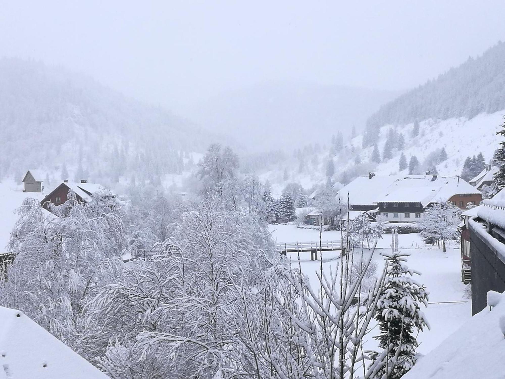 Naturidyll Am Fluss - Ferienhaus Albmatte - Grosser Garten Zum Grillen Und Entspannen-Direkt Neben Dem Radon Revitalbad Mit Sauna Und Thermalbecken St. Blasien Luaran gambar