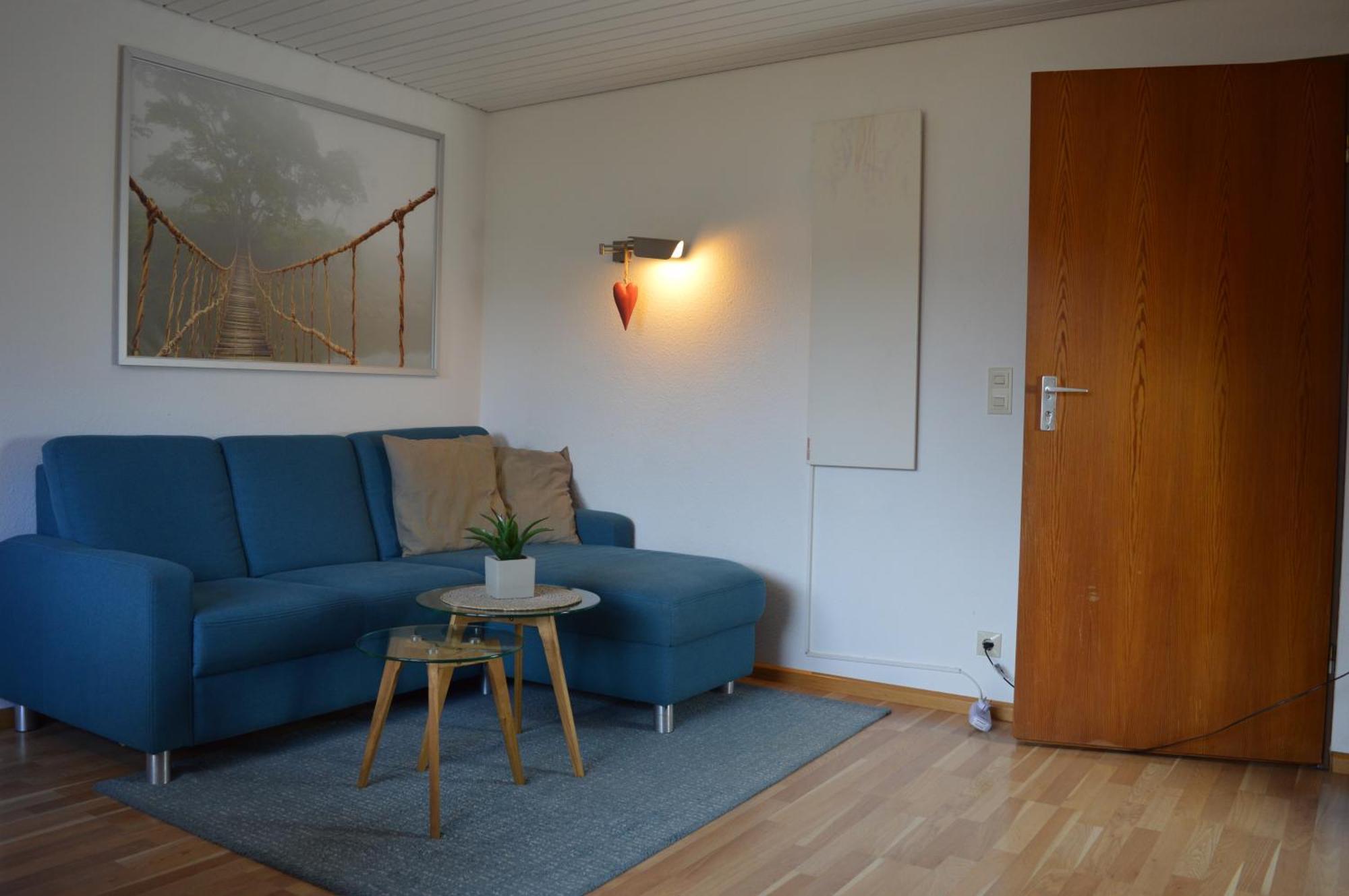 Naturidyll Am Fluss - Ferienhaus Albmatte - Grosser Garten Zum Grillen Und Entspannen-Direkt Neben Dem Radon Revitalbad Mit Sauna Und Thermalbecken St. Blasien Luaran gambar