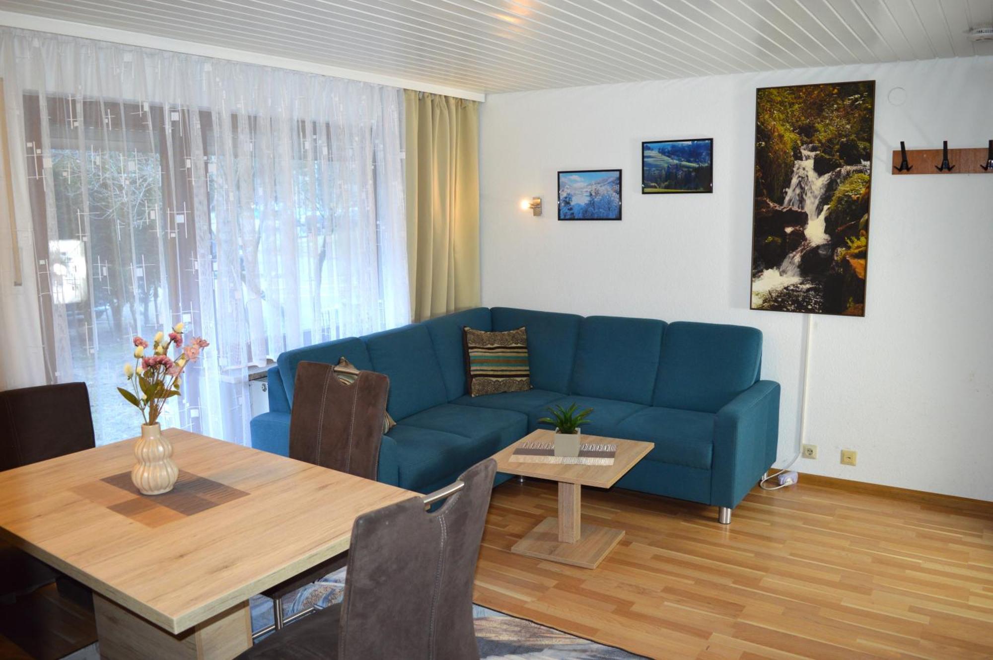Naturidyll Am Fluss - Ferienhaus Albmatte - Grosser Garten Zum Grillen Und Entspannen-Direkt Neben Dem Radon Revitalbad Mit Sauna Und Thermalbecken St. Blasien Luaran gambar