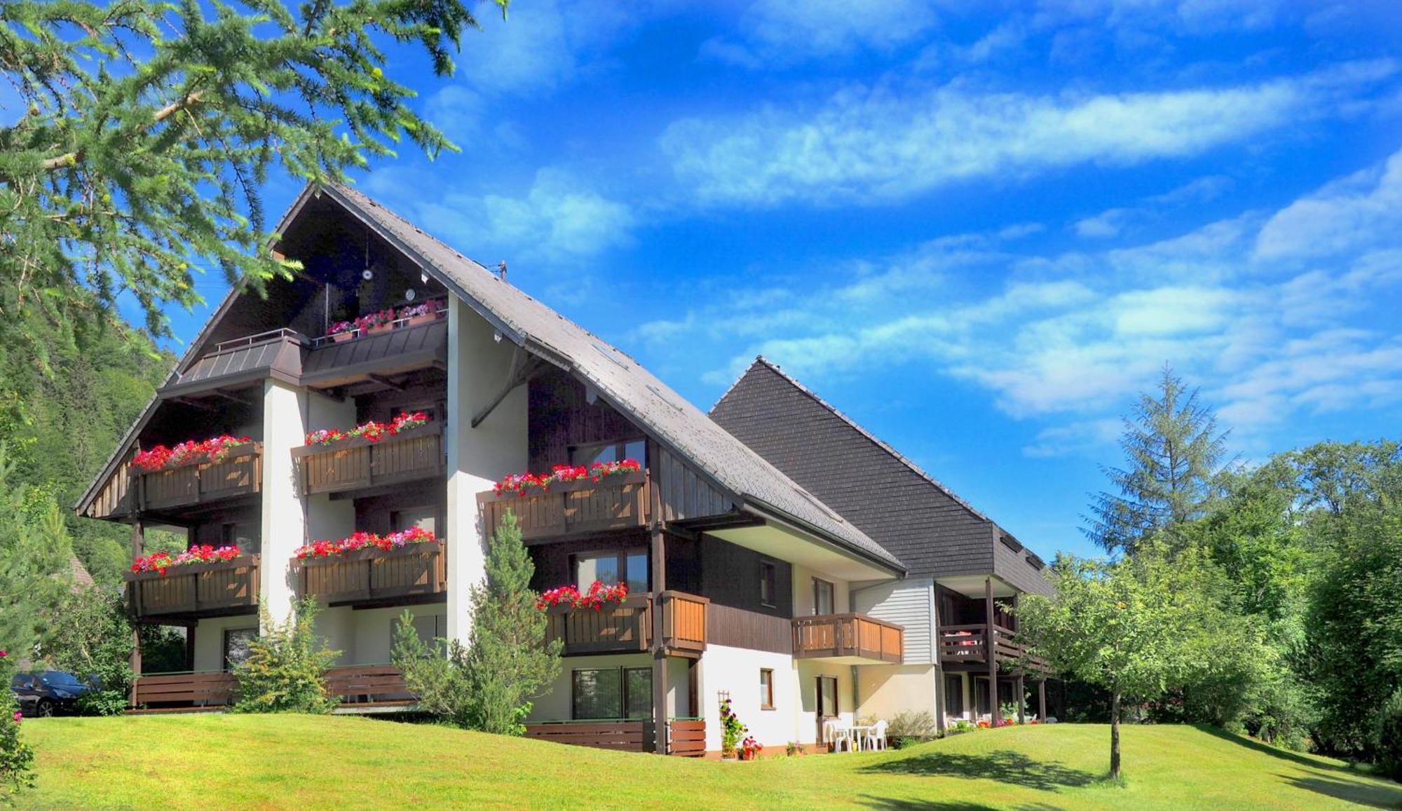 Naturidyll Am Fluss - Ferienhaus Albmatte - Grosser Garten Zum Grillen Und Entspannen-Direkt Neben Dem Radon Revitalbad Mit Sauna Und Thermalbecken St. Blasien Luaran gambar