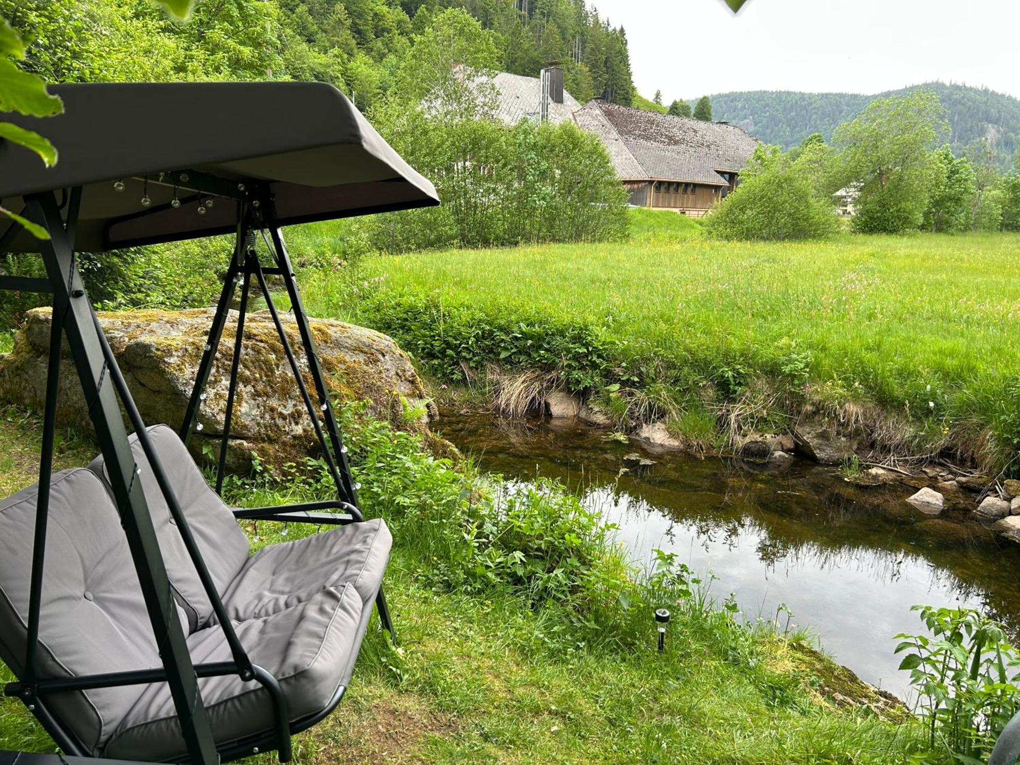 Naturidyll Am Fluss - Ferienhaus Albmatte - Grosser Garten Zum Grillen Und Entspannen-Direkt Neben Dem Radon Revitalbad Mit Sauna Und Thermalbecken St. Blasien Luaran gambar